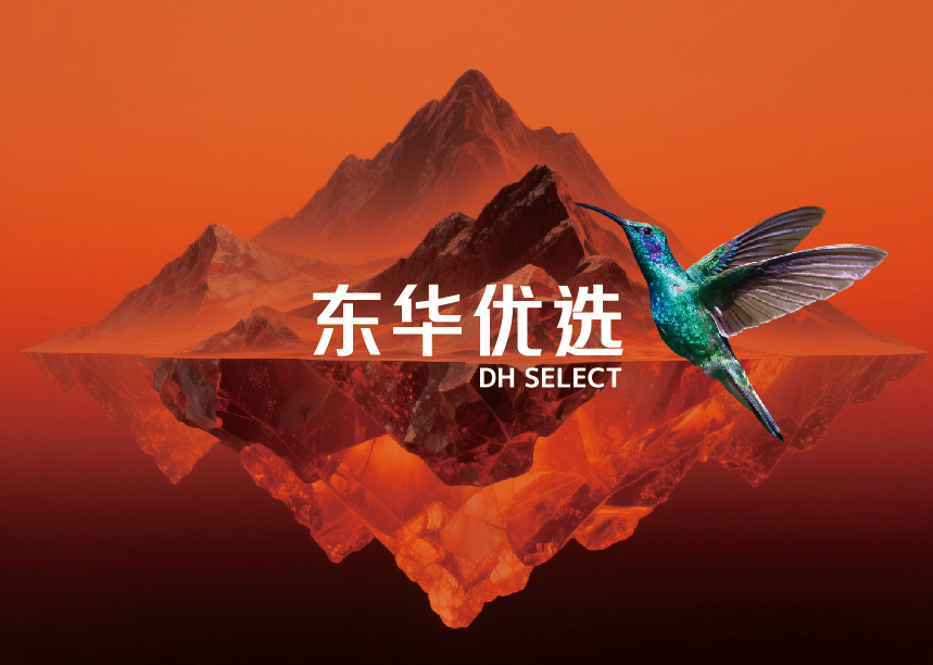 东华优选项目册-0509--完稿-转曲-23.jpg