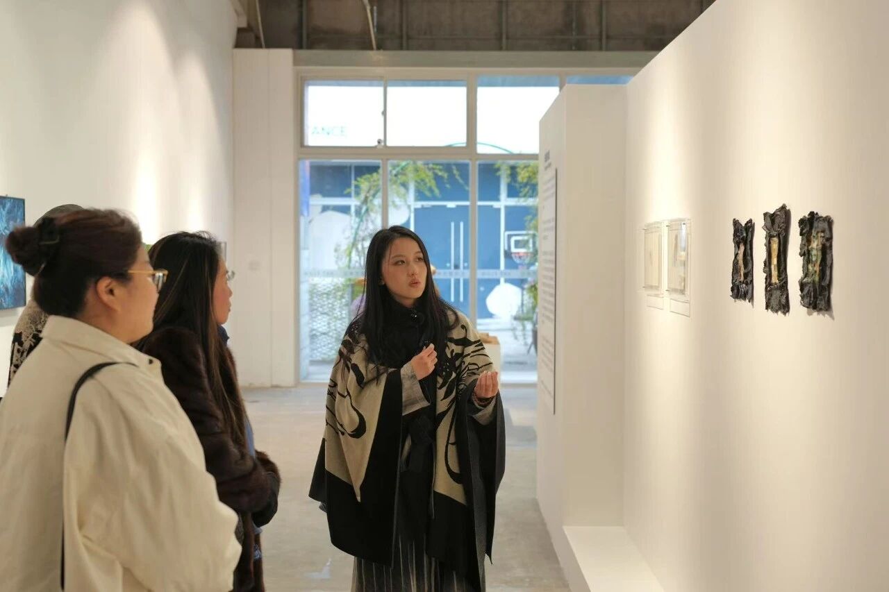 1766037157535377.jpg 4.jpg