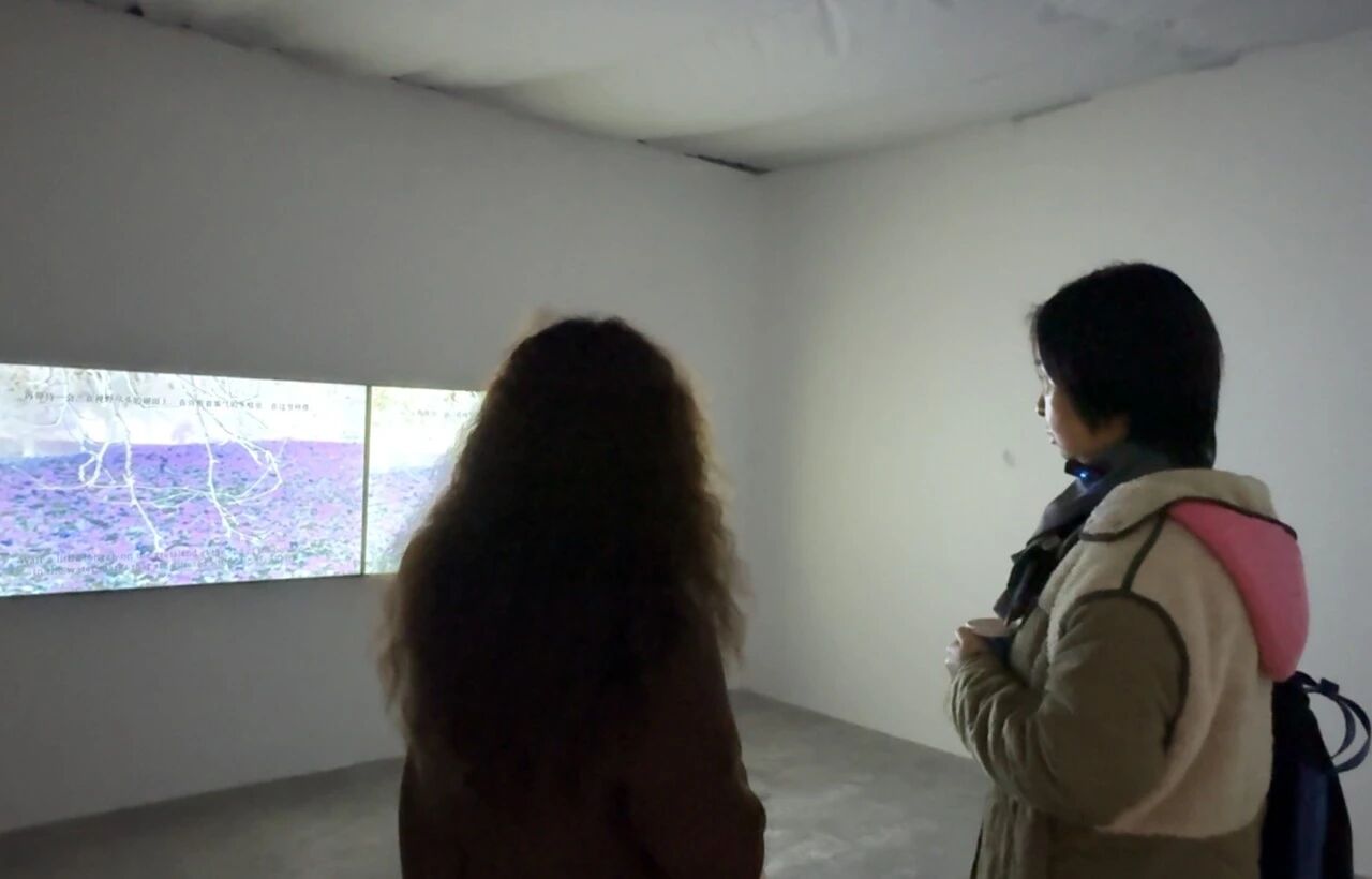 1766037736234379.jpg 12.jpg