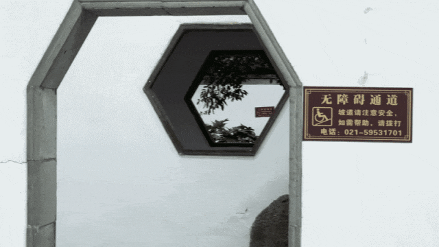 1780920953658176.gif 640.gif