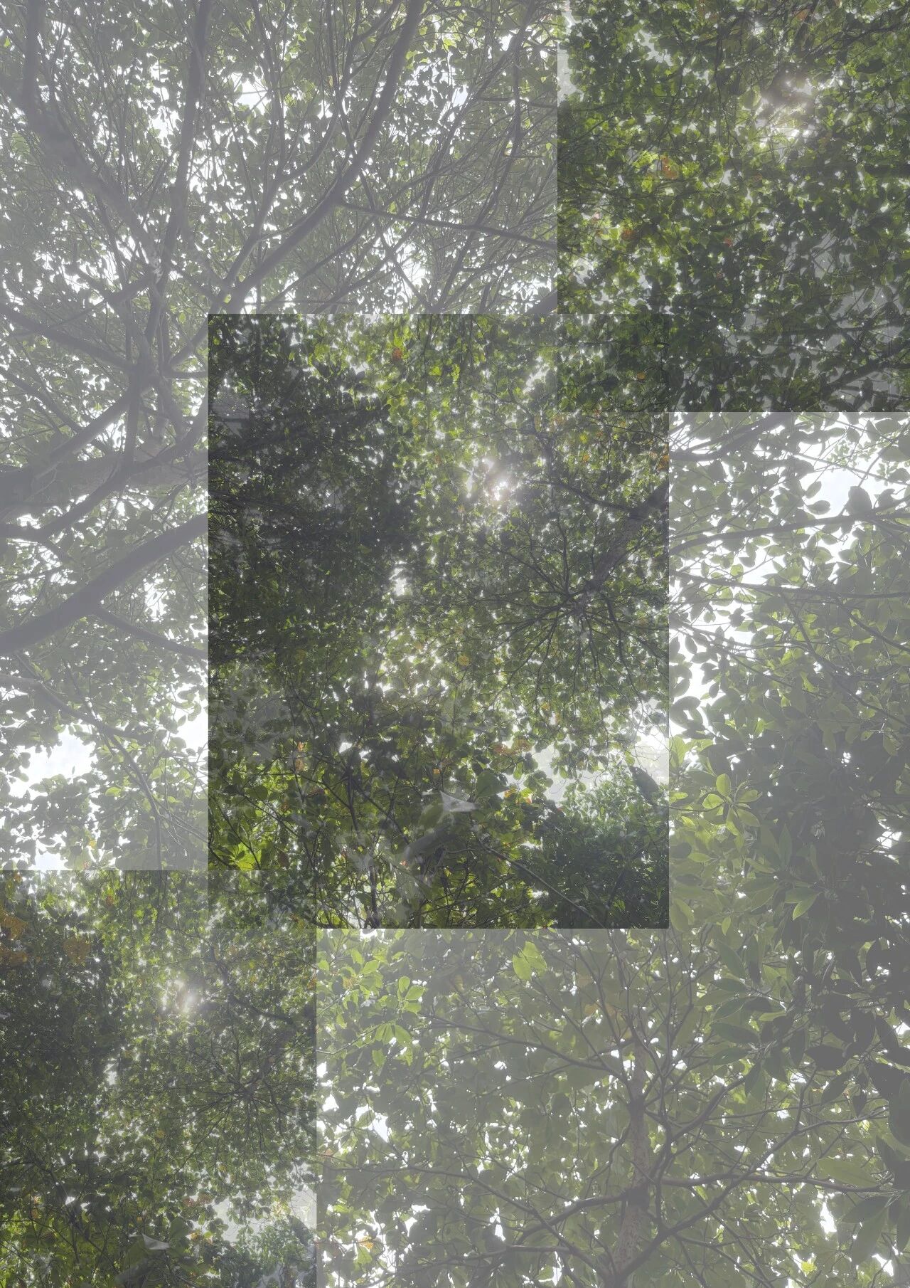 1780974822470816.jpg 10.jpg